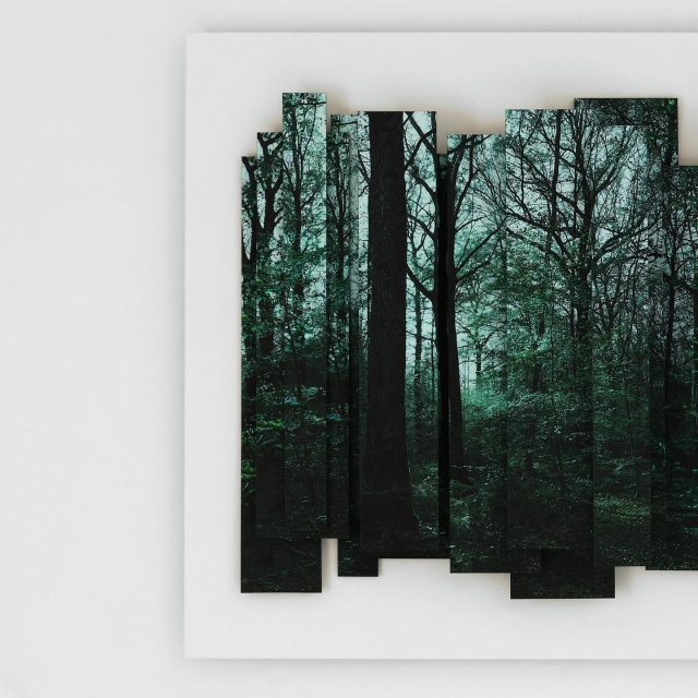 Déroute onirique 2025. 55x90 @maisonduchanoine