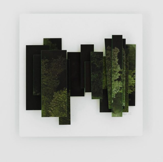 Archétype n°10 Point de vue hors normes 2025 25x25 cm @maisonduchanoine #photography #exhibition #exposition #green #tr…